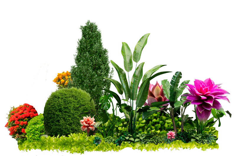 Foto a Empresa Flora Fértil