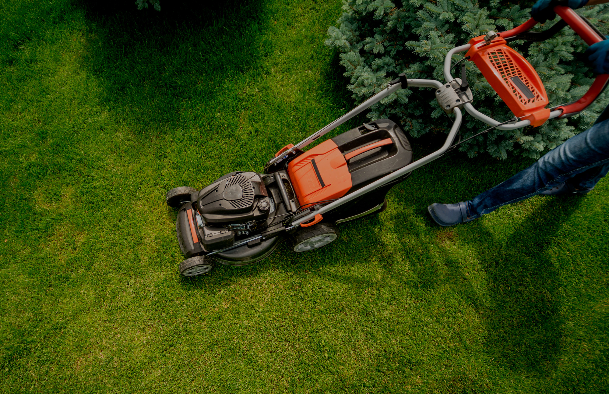 Jardinagem e Paisagismo