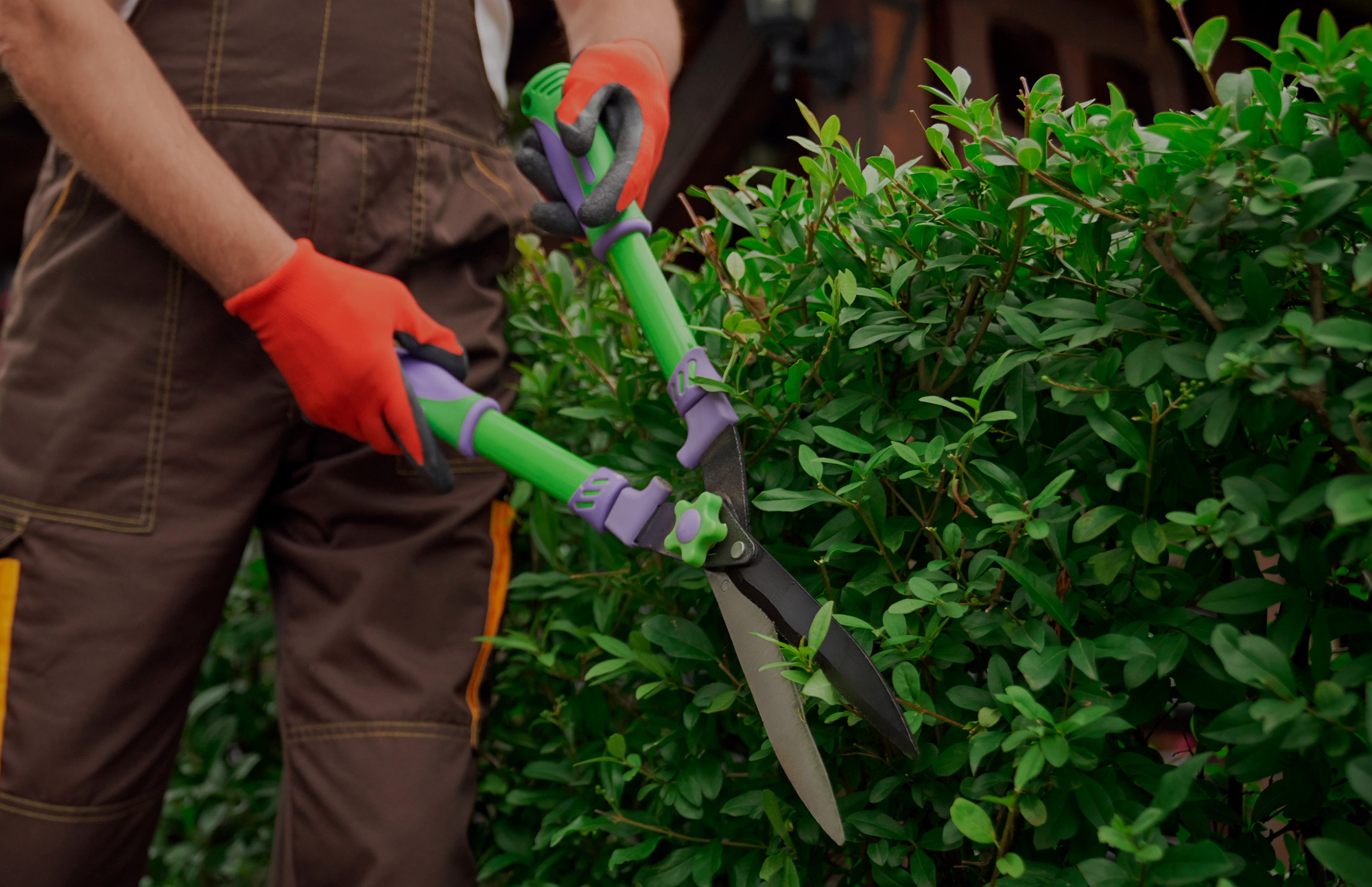 Jardinagem e Paisagismo