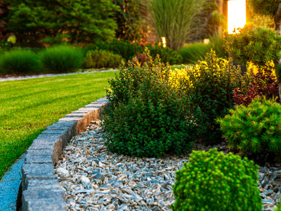 Jardinagem e Paisagismo
