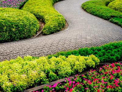 Jardinagem e Paisagismo